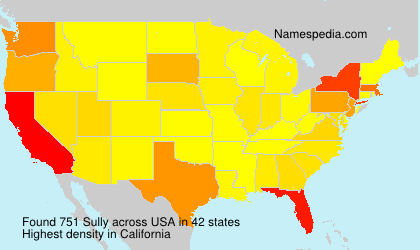 Surname Sully in USA Surname Sully in USA