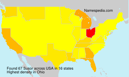 Surname Susor in USA Surname Susor in USA