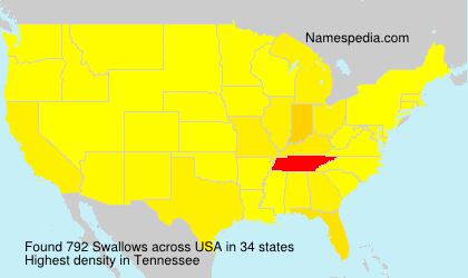 Surname Swallows in USA Surname Swallows in USA