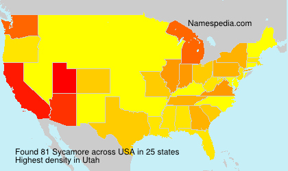 Surname Sycamore in USA Surname Sycamore in USA