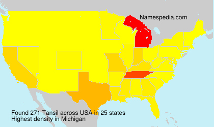 Surname Tansil in USA Surname Tansil in USA