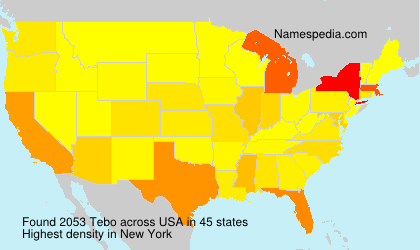 Surname Tebo in USA
