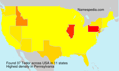 Surname Tedor in USA Surname Tedor in USA