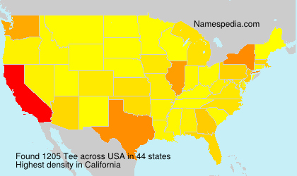 Surname Tee in USA Surname Tee in USA