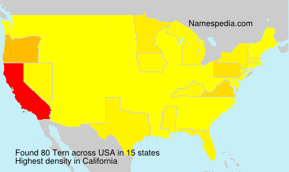 Surname Tern in USA Surname Tern in USA
