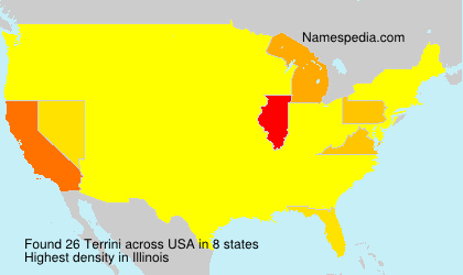 Surname Terrini in USA Surname Terrini in USA