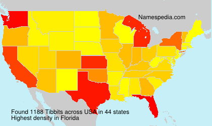 Surname Tibbits in USA