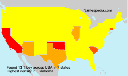 Surname Tibey in USA Surname Tibey in USA