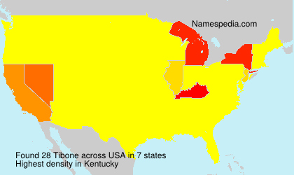 Surname Tibone in USA Surname Tibone in USA