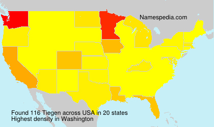 Surname Tiegen in USA Surname Tiegen in USA