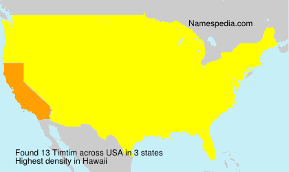 Surname Timtim in USA
