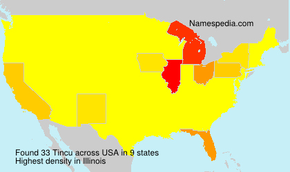 Surname Tincu in USA Surname Tincu in USA