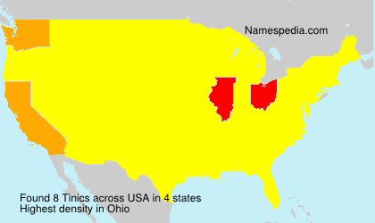 Surname Tinics in USA Surname Tinics in USA