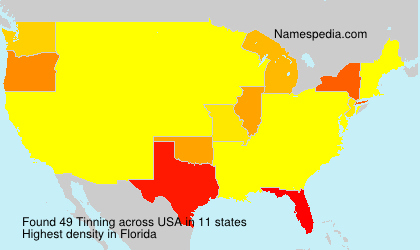 Surname Tinning in USA Surname Tinning in USA