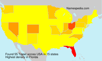 Surname Tippel in USA Surname Tippel in USA