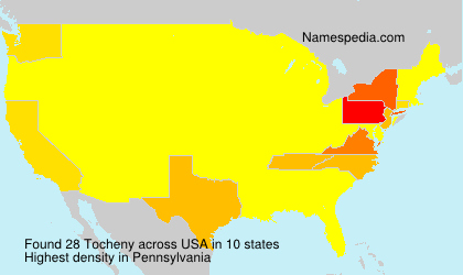 Surname Tocheny in USA Surname Tocheny in USA