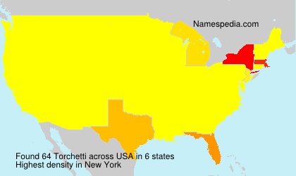 Surname Torchetti in USA Surname Torchetti in USA