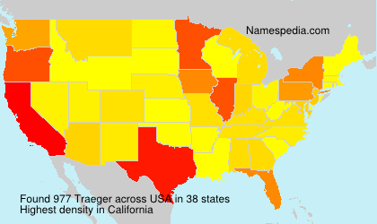 Traeger Traeger