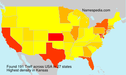 Surname Treff in USA Surname Treff in USA