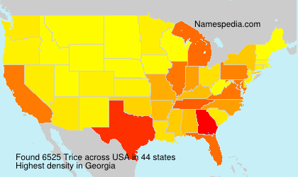 Surname Trice in USA Surname Trice in USA