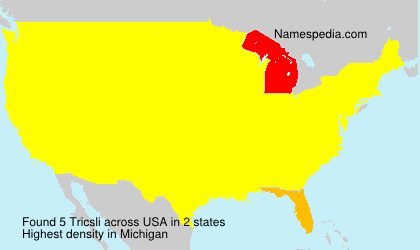 Surname Tricsli in USA Surname Tricsli in USA