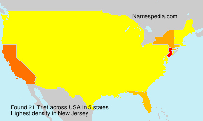 Surname Trief in USA Surname Trief in USA