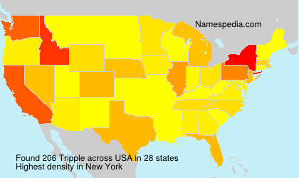 Surname Tripple in USA Surname Tripple in USA