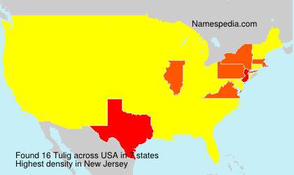 Surname Tulig in USA Surname Tulig in USA