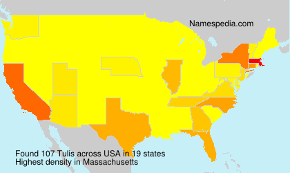 Surname Tulis in USA Surname Tulis in USA