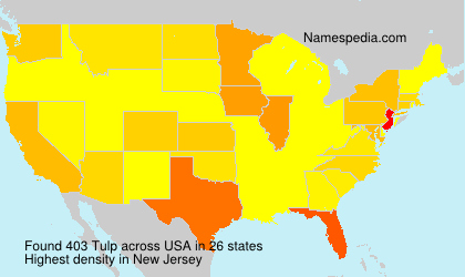 Surname Tulp in USA Surname Tulp in USA