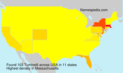 Surname Tuminelli in USA Surname Tuminelli in USA
