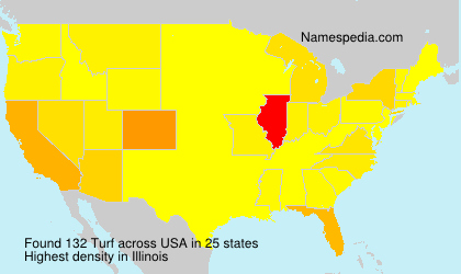 Surname Turf in USA Surname Turf in USA
