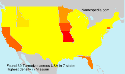 Surname Turnadzic in USA Surname Turnadzic in USA