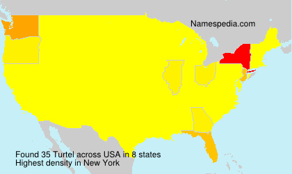 Surname Turtel in USA Surname Turtel in USA