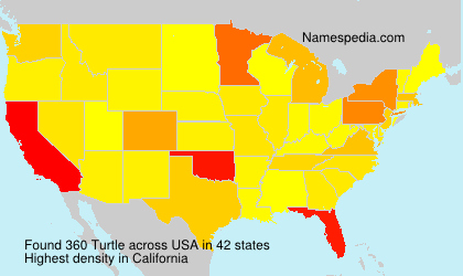 Surname Turtle in USA Surname Turtle in USA
