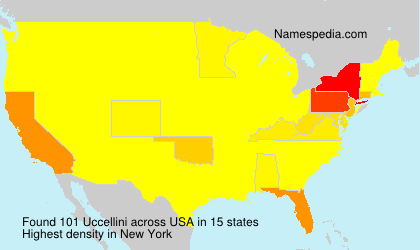 Surname Uccellini in USA