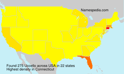 Surname Uccello in USA