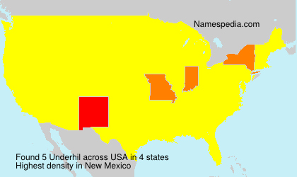 Surname Underhil in USA Surname Underhil in USA