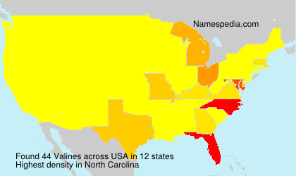 Surname Valines in USA