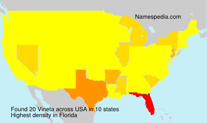 Surname Vineta in USA Surname Vineta in USA