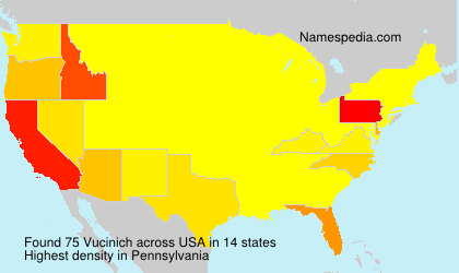 Surname Vucinich in USA