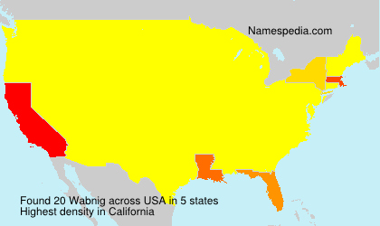 Surname Wabnig in USA Surname Wabnig in USA