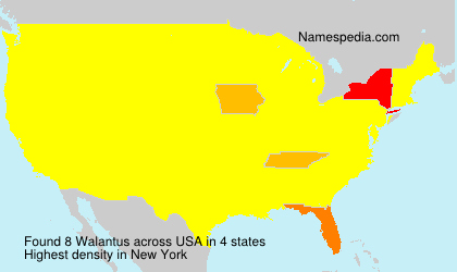 Surname Walantus in USA Surname Walantus in USA