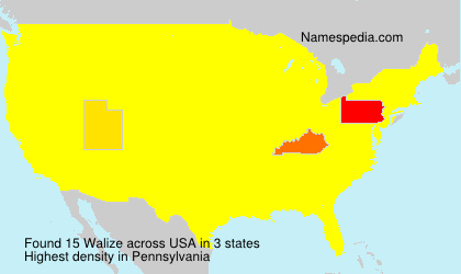 Surname Walize in USA Surname Walize in USA