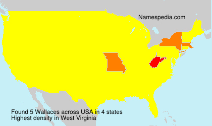 Surname Wallaces in USA