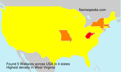 Wallaces Wallaces