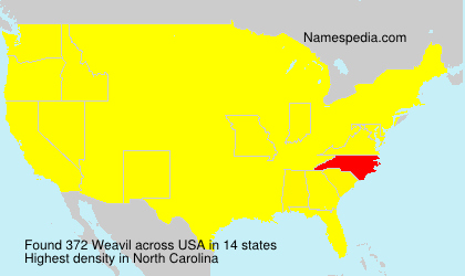 Surname Weavil in USA Surname Weavil in USA