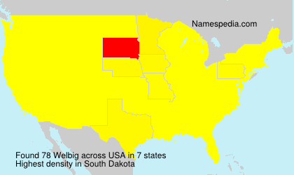 Surname Welbig in USA