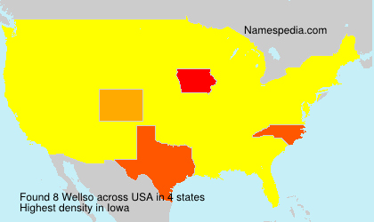 Surname Wellso in USA