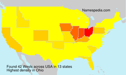 Surname Weyls in USA